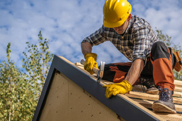 Best Storm Damage Roof Repair  in Boulder Hl, IL